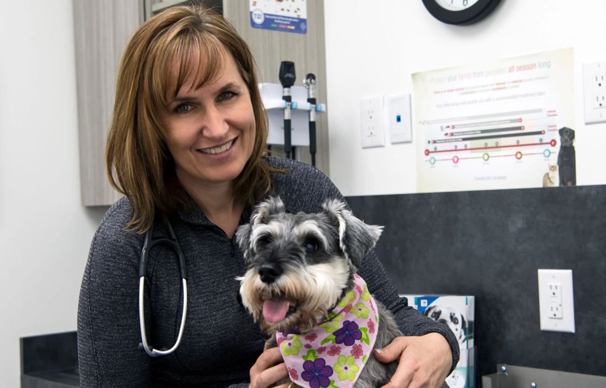 dog poses for a photo with vet