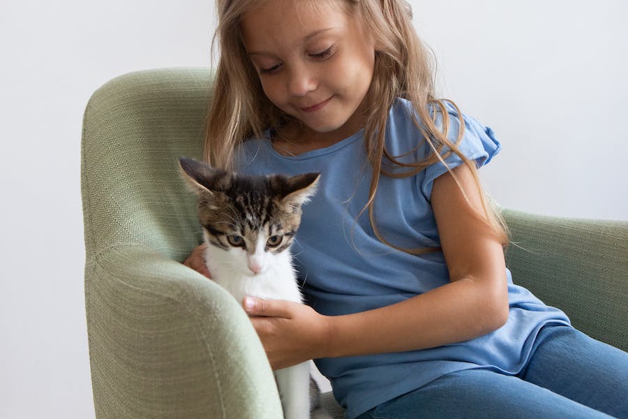 a child holding a cat