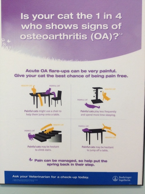 Sign of osteoarthritis photo