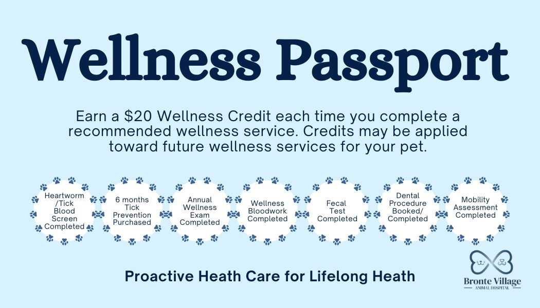 Bronte Village Animal Hospital Logo